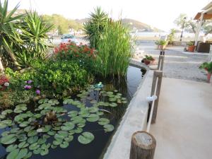 Corali Hotel Beach Front Property Ios Greece