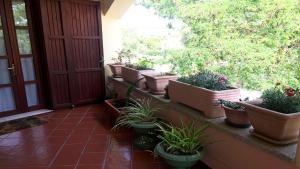 B&B Pani Silvio img10