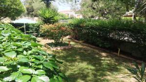 B&B Pani Silvio