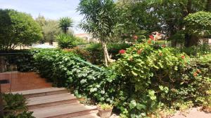 B&B Pani Silvio