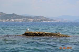 Villa Palio Tsifliki Kavala Greece