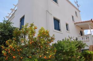 Anamar Villa Kyma Spetses Spetses Greece