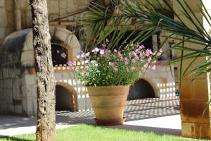 Villa Alimedon Chania Greece