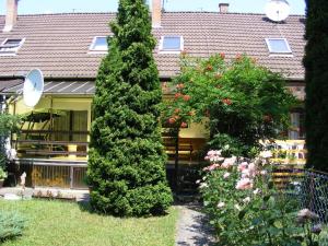 Apartamentai Ferenc Vend&eacute;gh&aacute;z Bog&aacute;cs Vengrija