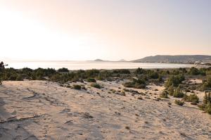 Villa Alyko Naxos Greece