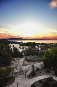 Villa Alyko Naxos Greece