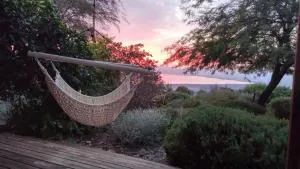 green island - Al Qaş‘īyah