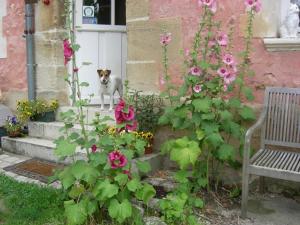 B&B / Chambres d'hotes La Ferme Rose : photos des chambres