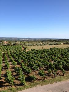 B&B / Chambres d'hotes Chateau de Valloubiere : photos des chambres