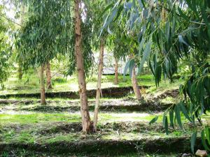 Campings Camping du Soleil : photos des chambres