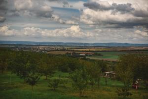 Dióliget - Lovasberény