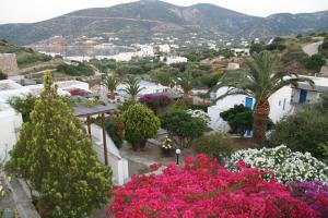 Alexandros Hotel