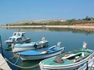 Holiday Home Smokvica