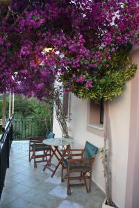 Aristotelis Apartments Ithaka Greece