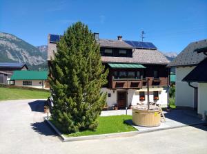 Talu Schmiedgut Haus im Ennstal Austria