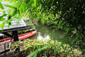 Maisons d'hotes Comme une parenthese au coeur des hortillonnages : photos des chambres