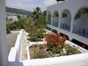 Hotel Blue Fountain Aegina Greece