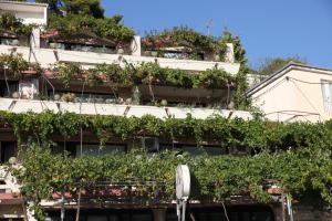 Bed and Breakfast RiB