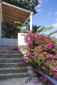 Beach House Antiparos Antiparos Greece