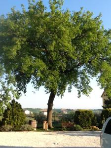 Affittacamere le Querce