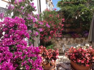 Apartments Villa Ina - 4-star hotels in Brseč