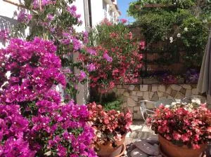 Apartments Villa Ina - Zagorje