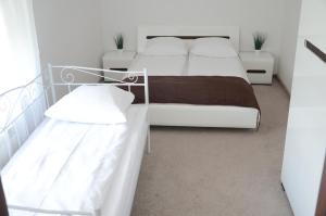 Apartament Centrum Łąkowa