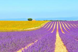 Maisons de vacances Ferme St Roch : photos des chambres