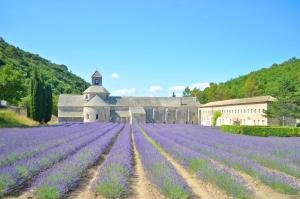 Maisons de vacances Ferme St Roch : photos des chambres