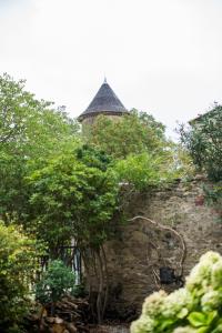 Maisons d'hotes La Belle Minervoise : photos des chambres