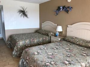 Standard Double Room room in Starfire Motel
