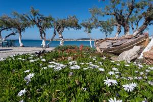 Kalypso Hotel Paros Greece