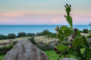 Sea View Suite Methana Argolida Greece