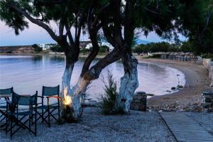 Kalypso Hotel Paros Greece