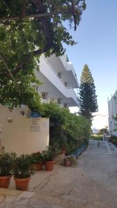 Sofia Studios & Apartments