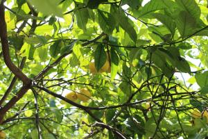 I'MC IoAMoCagliari img36