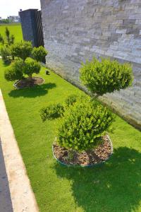 Qi Li Xiang Homestay