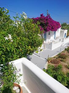 Yiannis Studios Paros Greece