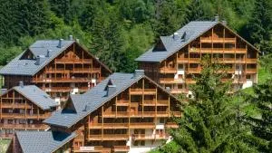 Chalet des Neiges Oz en Oisans - Oz