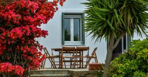 Villa Pergola Andros Andros Greece