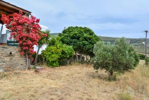 Villa Pergola Andros Andros Greece