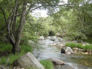 Carriles Romanos