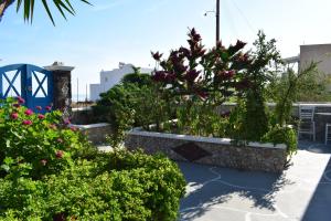 Wisteria Apartments Santorini Greece