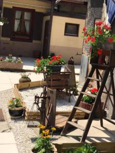 3 hvězdičkový chata Maison avec terrasse Colmar Centre Colmar Francie