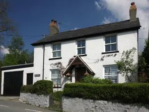 Bryn Ffynnon Holiday Cottage Llanrwst - 格夫塞林