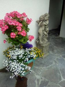 Appartements Fam. Gleinser Mirella