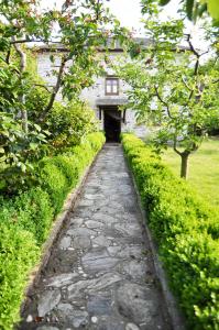 Stone Villa in the Forest Pelion Greece