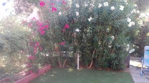 Villa Gabriella img6