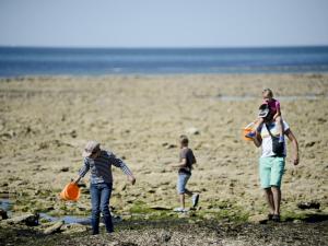 Campings Huttopia Chardons bleus Ile de Re : photos des chambres