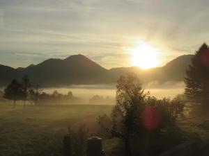 Ferienwohnungen Mooshäusl